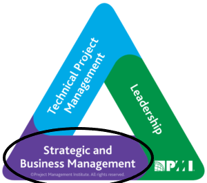 PMI-PDU-Triangle-Strategy-.png